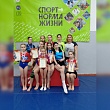Гимнастки из Рассказова и Мичуринска приняли участие в открытом первенстве
