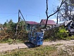 На улице Пушкина в городе Рассказово начали спиливать сухие деревья