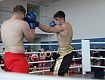 Результаты мичуринского турнира по боксу на призы Максима Харникова