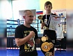 Мичуринские боксеры вернулись из Воронежа с медалями
