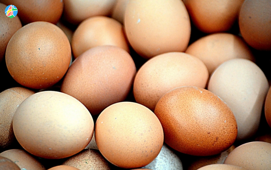 Цены на яйца скорректируют