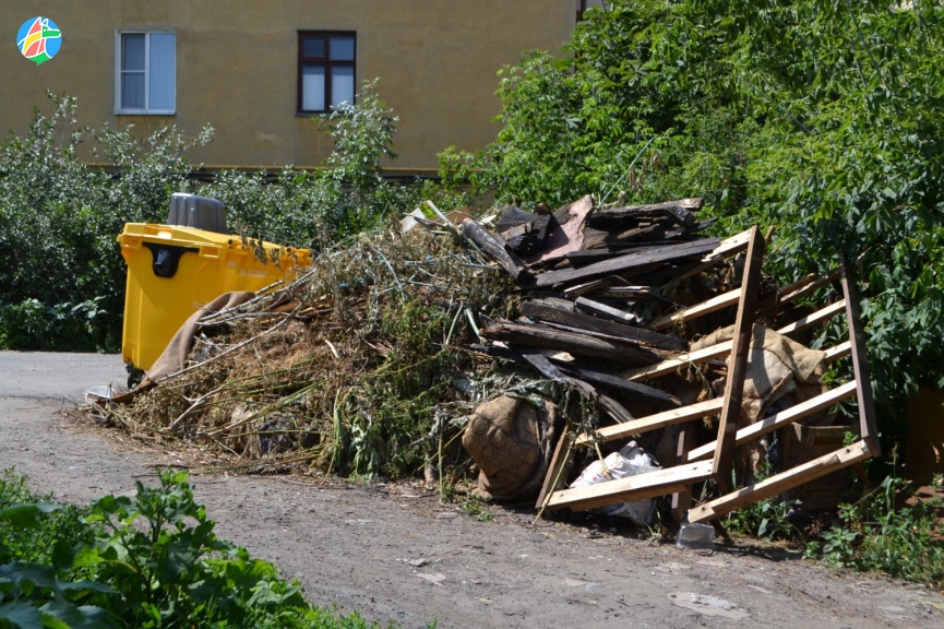 В Мичуринске с начала июля ликвидировали 117 несанкционированных свалок
