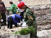 «Сад памяти» высадили школьники Рассказовского района