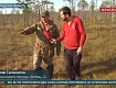 В ленинградских лесах обнаружили останки летчика – уроженца Мичуринска