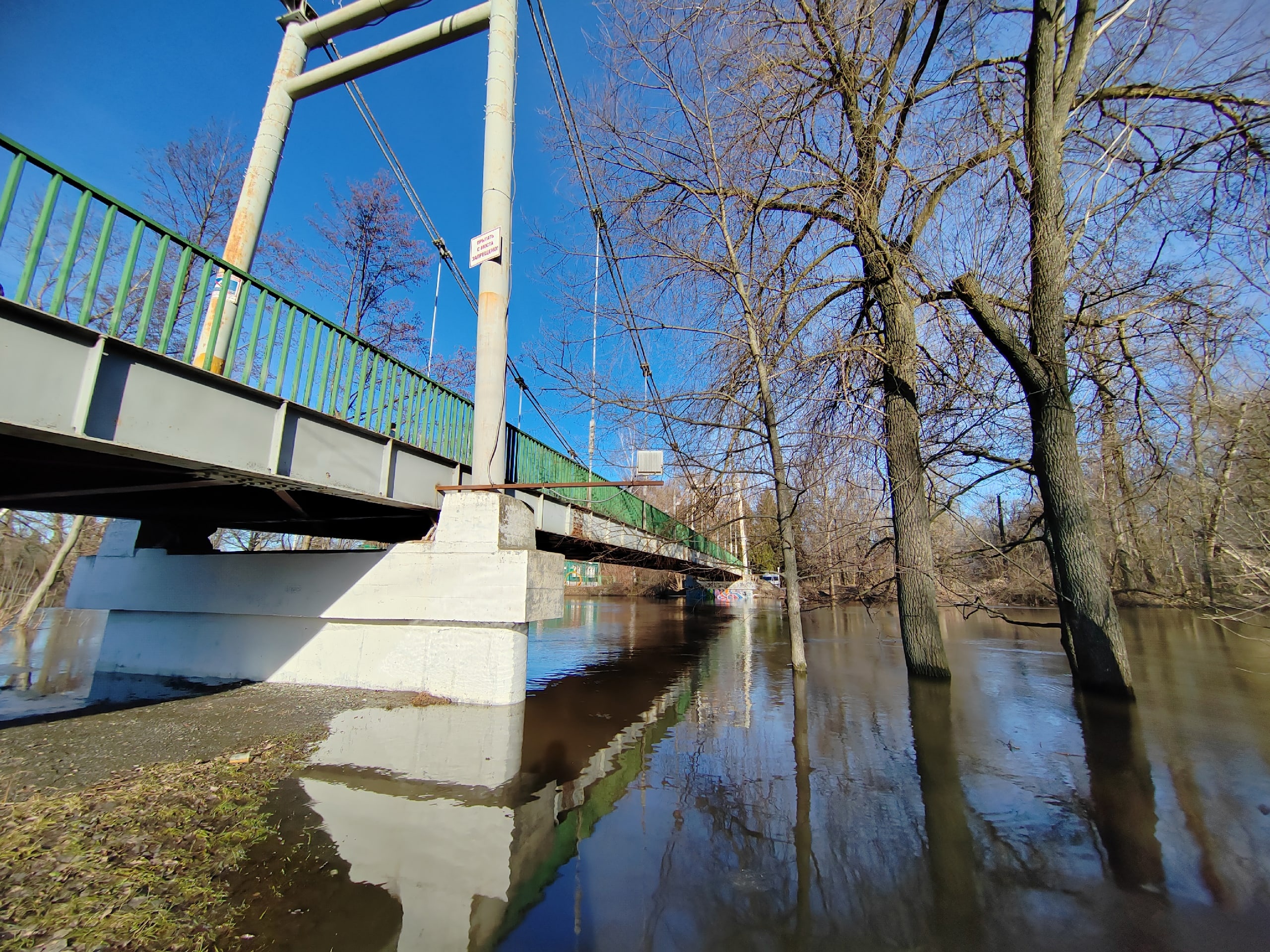 В реке Лесной Воронеж снижается уровень воды