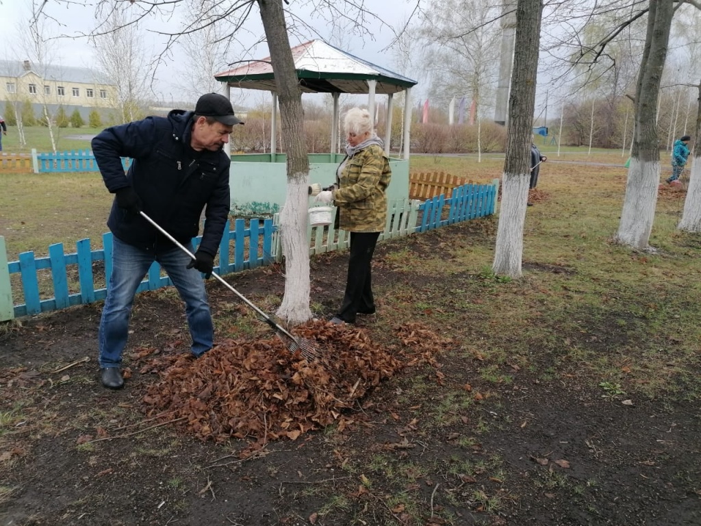 Тоже села