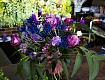 Открылся флористический салон «Цветы на Пушкина»