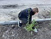 С озеленением парка на улице Некрасова помогают школьники