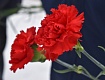 В Моршанске воины-афганцы почтили память однополчан и возложили цветы к мемориалам