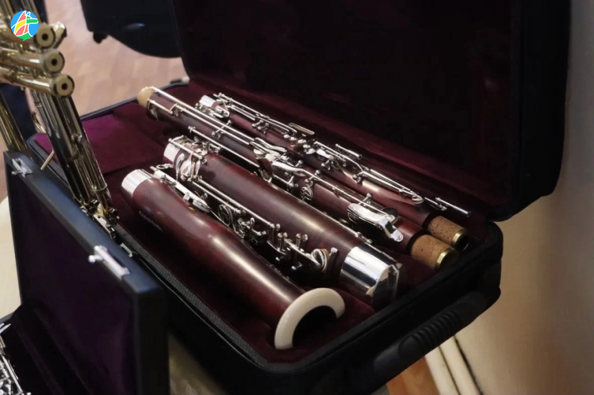 Мичуринские детские школы искусств получили музыкальные инструменты