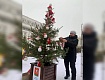 В Тамбове на площади Ленина украсили елки города Рассказово и Рассказовского округа