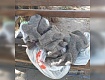 Вязаные носки отправляют бойцам СВО жительницы Моршанска