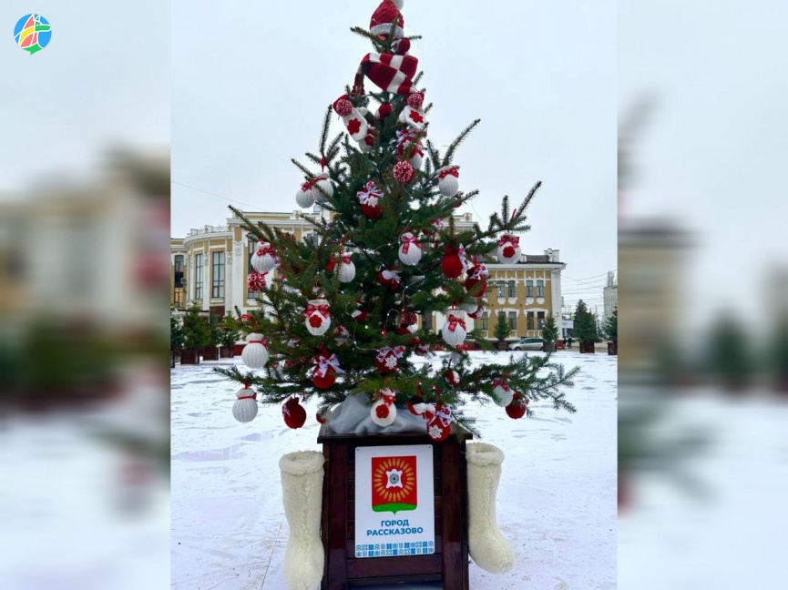 В Тамбове на площади Ленина украсили елки города Рассказово и Рассказовского округа