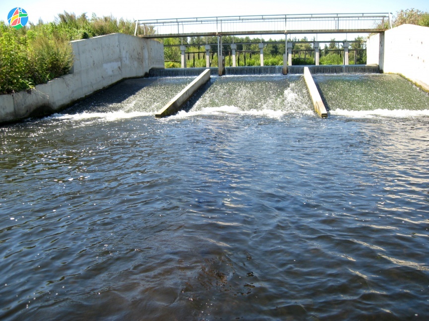В Моршанске планируют отремонтировать гидротехническое сооружение на реке 
