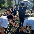 Сотрудники транспортной полиции приняли участие в экологическом субботнике «Зеленая Россия»