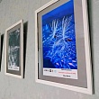 В РАССКАЗОВО ОТКРОЕТСЯ ВЫСТАВКА ЮНЫХ ФОТОГРАФОВ «КАДРЫ БЕЗ ГРАНИЦ»