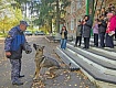 ВСТРЕЧА ШКОЛЬНИКОВ С ИНСТРУКТОРОМ-КИНОЛОГОМ