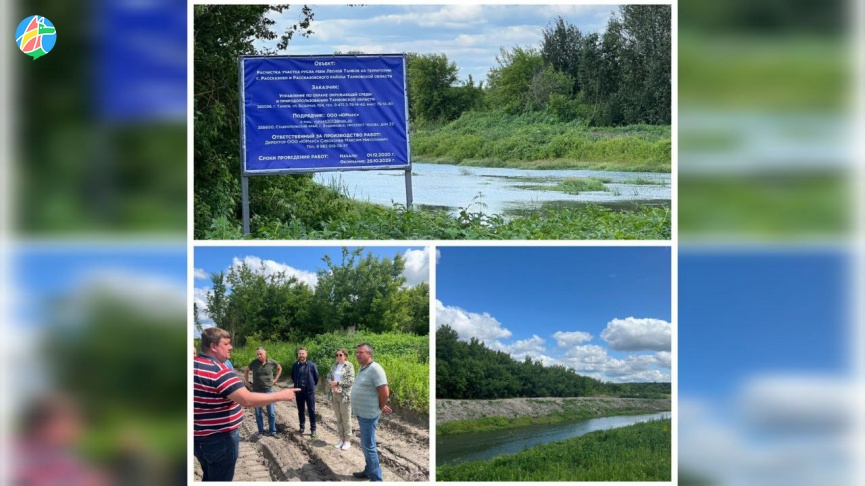 Министерство экологии контролирует расчистку русла реки Лесной Тамбов