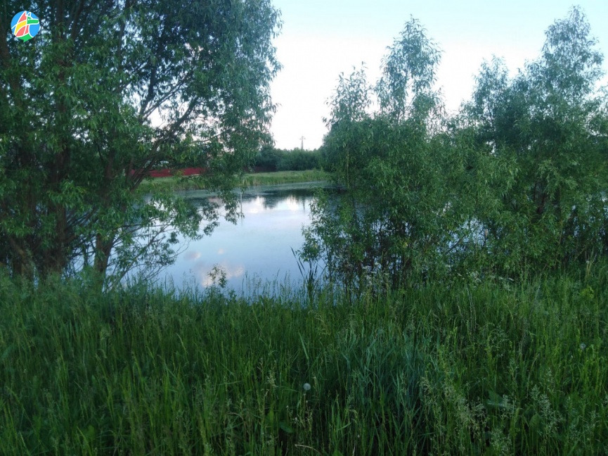 С начала купального сезона в Тамбовской области утонул 21 человек