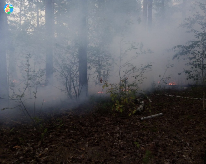 Рассказовский лесхоз призывает соблюдать правила пожарной безопасности 