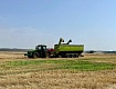Рассказовские сельхозпредприятия приступили к уборке озимой пшеницы и гороха
