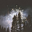 В регионе в Новый год могут запретить использование фейерверков