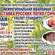 В Рассказовском округе пройдёт выставка собак