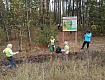 Экологическую акцию «Зов природы» провели лесоводы Моршанска