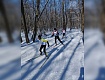 Лыжники из Рассказова показали отличные результаты на соревнованиях «Знаменская лыжня – 2023»