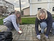 АКТИВИСТЫ «ДВИЖЕНИЯ ПЕРВЫХ» ПРИСОЕДИНИЛИСЬ К РЕГИОНАЛЬНОЙ АКЦИИ
