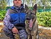 ВСТРЕЧА ШКОЛЬНИКОВ С ИНСТРУКТОРОМ-КИНОЛОГОМ