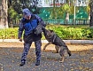 ВСТРЕЧА ШКОЛЬНИКОВ С ИНСТРУКТОРОМ-КИНОЛОГОМ