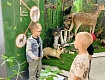 РАССКАЗОВЦЫ ЗНАКОМЯТСЯ С ОБНОВЛЕННЫМИ ЭКСПОЗИЦИЯМИ КРАЕВЕДЧЕСКОГО МУЗЕЯ