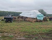 В РАССКАЗОВСКОМ ОКРУГЕ ПОДЕЛИЛИСЬ ОПЫТОМ ВЕДЕНИЯ МЯСНОГО СКОТОВОДСТВА