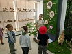 РАССКАЗОВЦЫ ЗНАКОМЯТСЯ С ОБНОВЛЕННЫМИ ЭКСПОЗИЦИЯМИ КРАЕВЕДЧЕСКОГО МУЗЕЯ