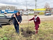 В городе Рассказово провели акцию «Подари дерево любимому городу»